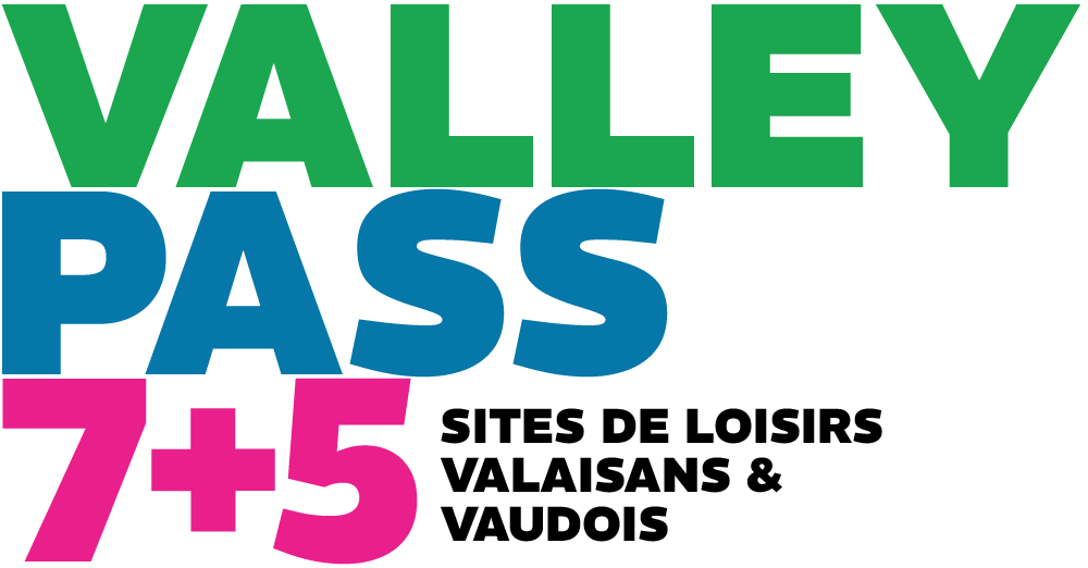 Logo ValleyPass